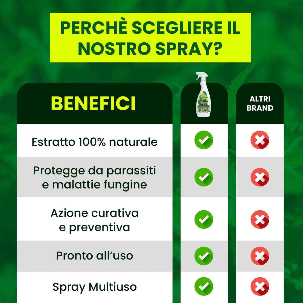 Insetticida Naturale per Piante 750 ml - A Base di Estratto Biologico di Ortica - Efficace Contro Cocciniglia, Afidi, Ragnetto Rosso e Pidocchi - Spray