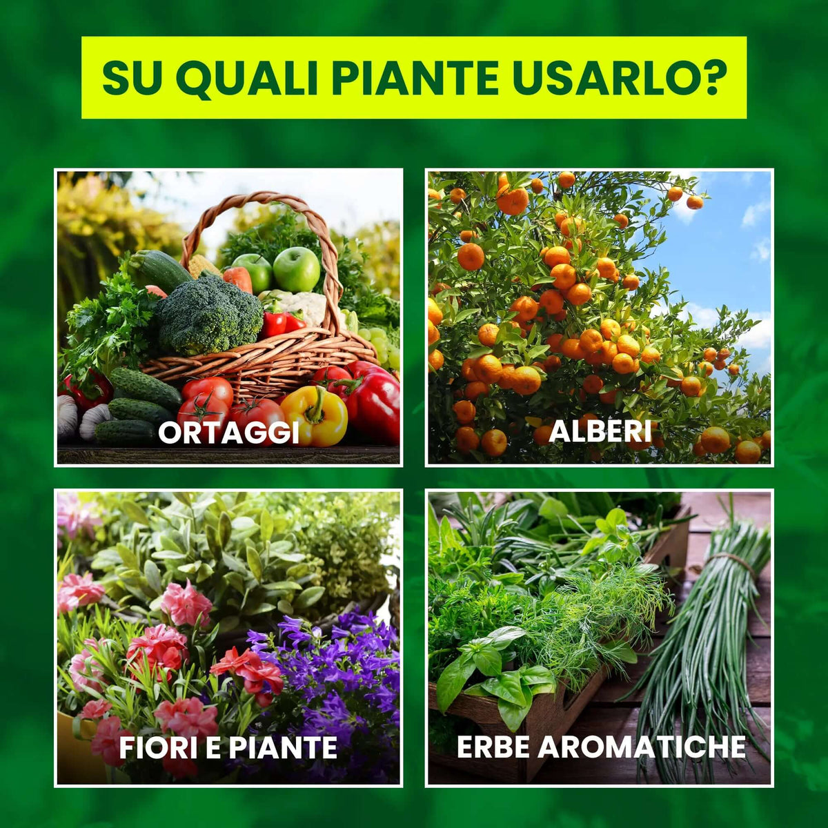 Insetticida Naturale per Piante 750 ml - A Base di Estratto Biologico di Ortica - Efficace Contro Cocciniglia, Afidi, Ragnetto Rosso e Pidocchi - Spray